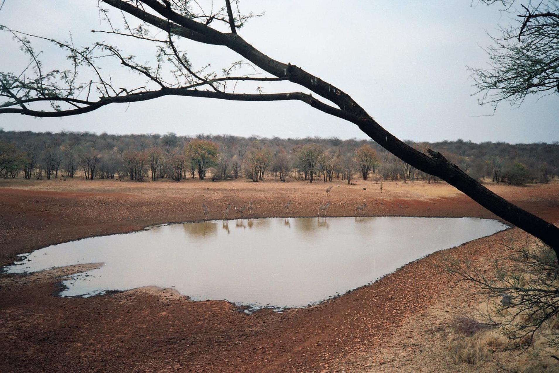 Onduri Lodge Outjo Dış mekan fotoğraf