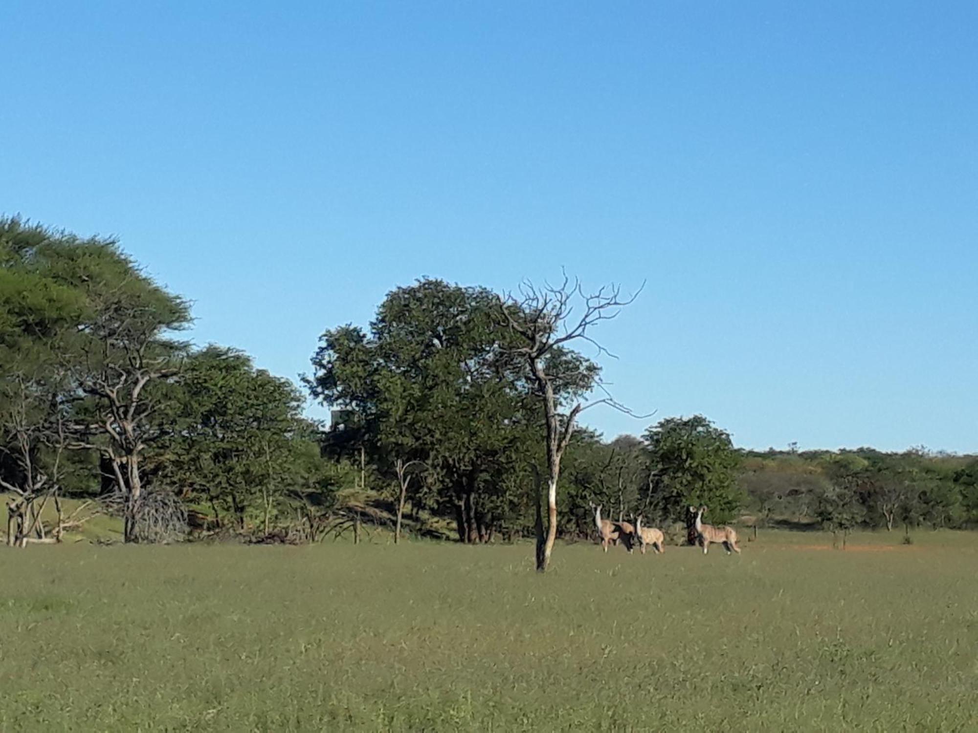 Onduri Lodge Outjo Dış mekan fotoğraf