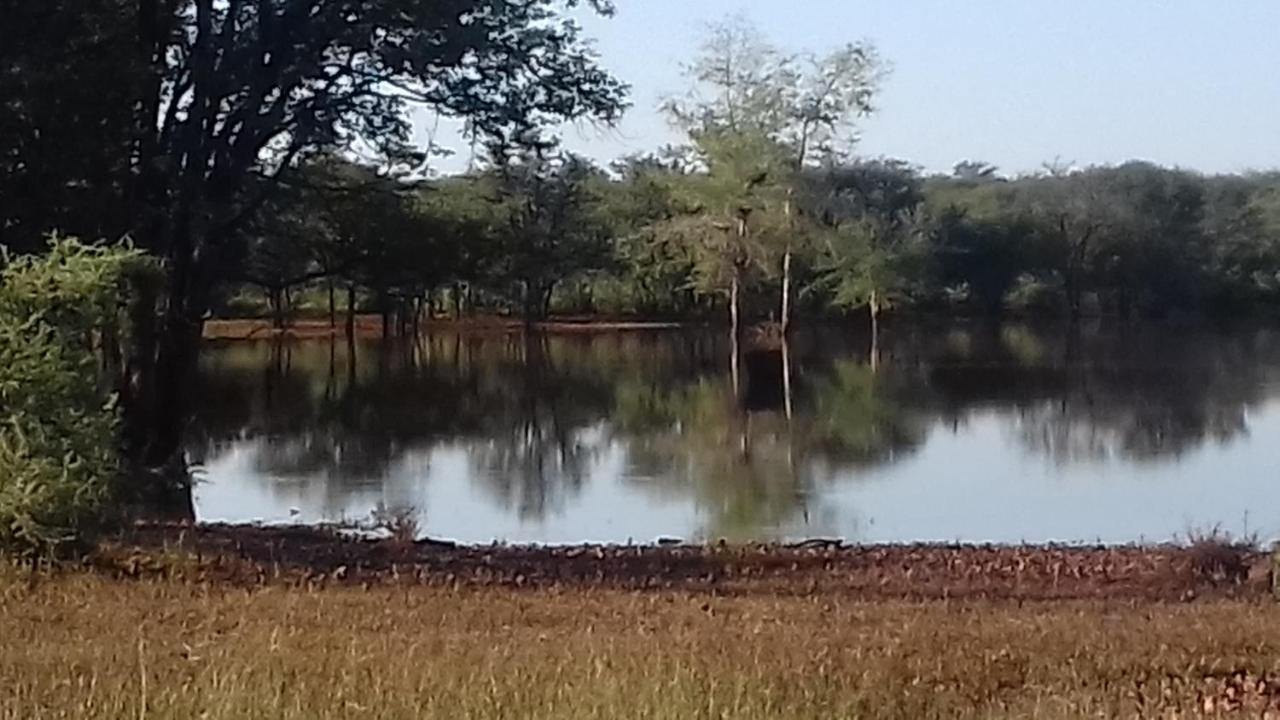 Onduri Lodge Outjo Dış mekan fotoğraf